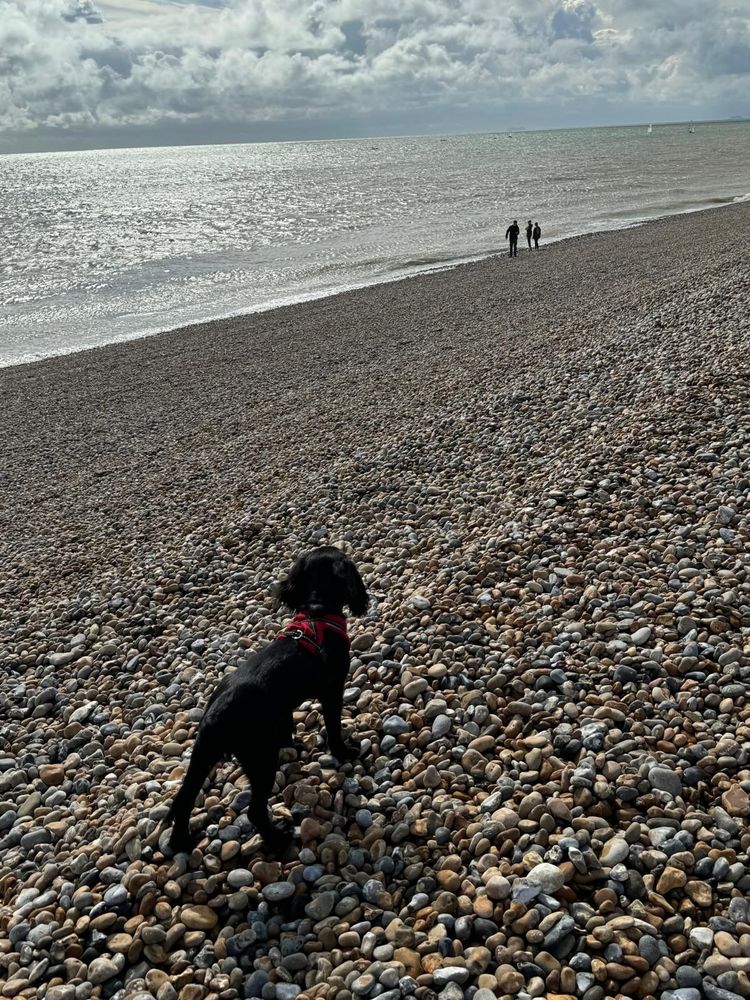 Dover to Deal Coastal Walk